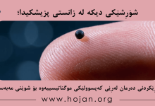 شۆڕشێکی دیکە لە زانستی پزیشکیدا؛ بەڕێکردنی دەرمان لەڕێی کەپسوولێکی موگناتیسییەوە بۆ شوێنی مەبەست