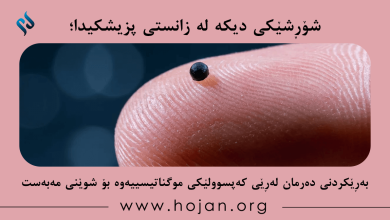 شۆڕشێکی دیکە لە زانستی پزیشکیدا؛ بەڕێکردنی دەرمان لەڕێی کەپسوولێکی موگناتیسییەوە بۆ شوێنی مەبەست