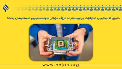 کەپۆی ئەلیکترۆنی دەتوانێت وردبینانەتر لە مرۆڤ خۆراکی ماوەبەسەرچوو دەستنیشان بکات!