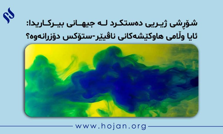 شۆڕشی ژیریی دەستکرد لە جیهانی بیرکاریدا: ئایا وڵامی ھاوکێشەکانی ناڤیێر-ستۆکس دۆزرانەوە؟
